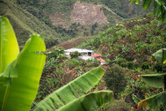 Colombia Huitaca (3)