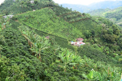 Colombia Huitaca (9)