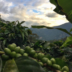 Colombia Huitaca (14)