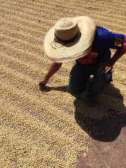 Colombia Huitaca (15)