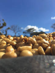 Colombia Huitaca (16)