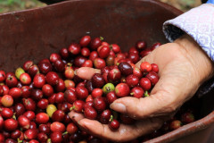 Colombia Huitaca (19)
