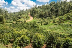 Kenya Wanjengi (7)