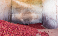 Kenya Wanjengi (8)