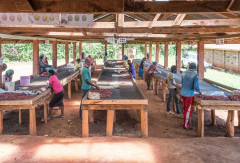 Kenya Wanjengi (9)
