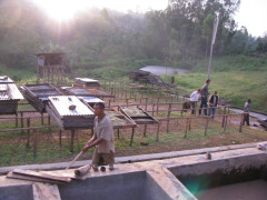 Ethiopia Guji Okoluu (4)