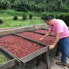 Vánoční káva - Nicaragua Santa Maria (3)