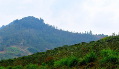 Rwanda Mille Collines (4)