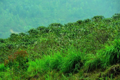 Rwanda Mille Collines (5)