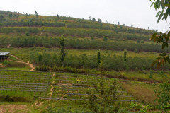 Rwanda Mille Collines (8)