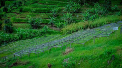 Rwanda Mille Collines (9)