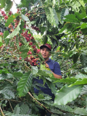 Colombia Coconut Lemonade Fermented (9)