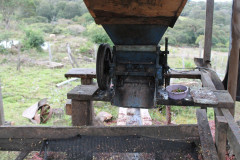 Nicaragua Jinotega (7)