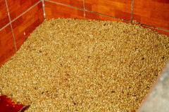 Nicaragua Jinotega (8)