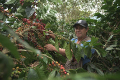 Peru Las Flores (10)