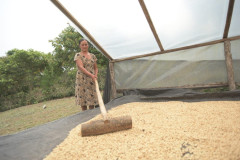 Peru Las Flores (13)