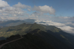 Peru Las Flores (14)