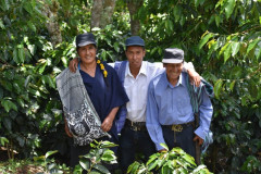 Peru Las Flores (15)