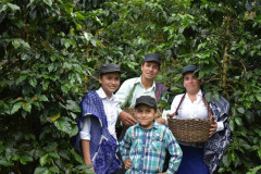 Peru Las Flores (16)