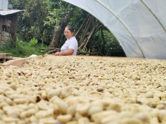 Peru Las Flores (18)