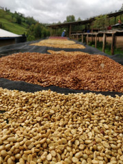Rwanda Muzo (13)