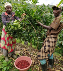 Rwanda Muzo (19)