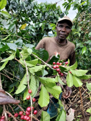 Rwanda Muzo (20)