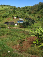 Rwanda Muzo (21)