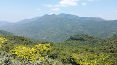 Guatemala Tzikin (11)