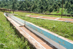 Kenya Kirinyaga (10)