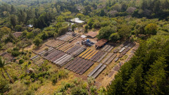 Podzimní káva - El Salvador Finca Las Brisas (12)