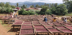 Ethiopia Chelichele (3)